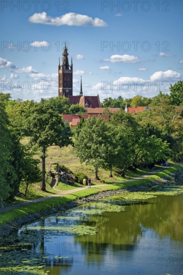 Wörlitz St Peter's Church with the Bible Tower, Lake Wörlitz, Wörlitz Park, Wörlitz Gardens, Garden Kingdom of Dessau-Wörlitz, UNESCO World Heritage Site, Wörlitz, Dessau-Roßlau, Saxony-Anhalt, Germany