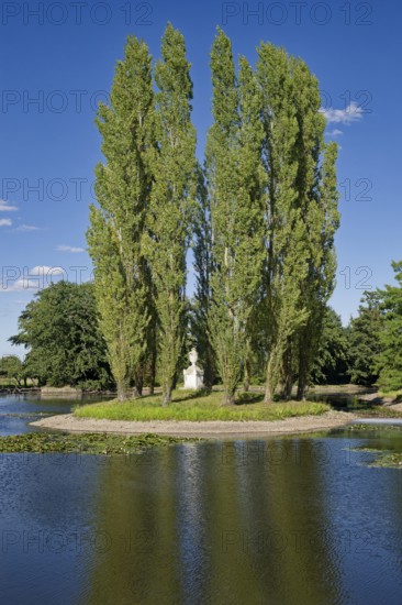 Rousseau Island, Wörlitz Park, Wörlitz Gardens, Garden Kingdom of Dessau-Wörlitz, UNESCO World Heritage Site, Wörlitz, Dessau-Roßlau, Saxony-Anhalt, Germany