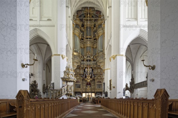 Front right and left pews in the nave, choir, half-left Renaissance pulpit from 1574 with baroque pulpit cover from 1723, Marienkirche, Protestant-Lutheran, North German brick Gothic, centre organ built in 1766, below, behind chandelier princely box, basilica, three naves, built from 1290 to mid 15th century, harbour town, Hanseatic city, university town, Rostock, Mecklenburg-Western Pomerania, Germany