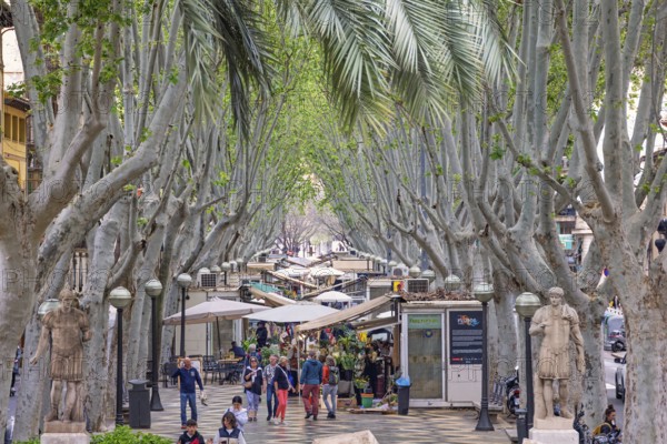 View at La Rambla in Palma a tree lined boulevard with fresh flower market and lot of visitors, Palma de Mallorca, Mallorca, Spain