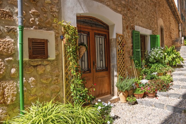 Apartment door with flowers and green plants outside on a stair in a cobblestone alley a sunny summer day, Fornlalutx, Mallorca, Spain