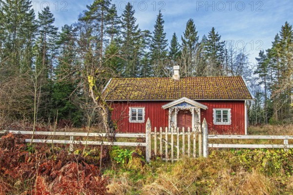 Red wooden cottage with a with fence and a gate an autumn day by the forest edge, Sweden