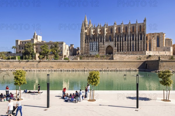 View at Palma cathedral and people by the water pond in the Parque del mar, Palma de Mallorca, Mallorca, Spain