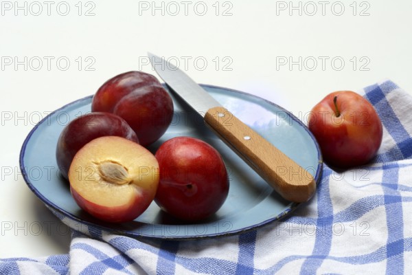 Red plums on plate with kitchen knife, Prunus domestica