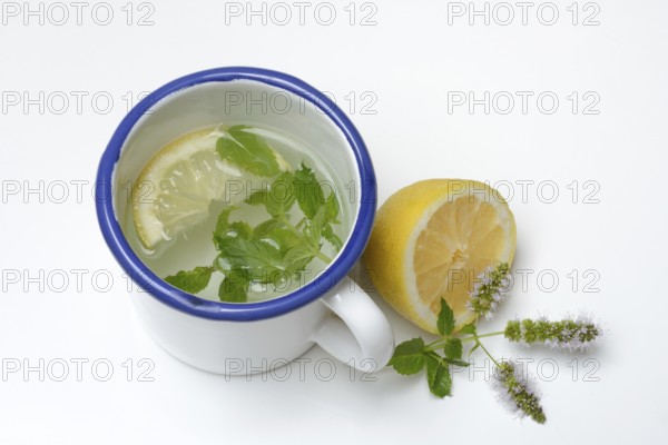 Peppermint tea, peppermint leaves and a slice of lemon in a cup of hot water