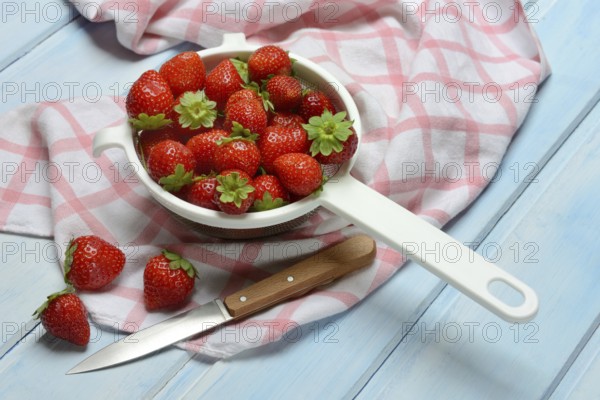Strawberries in a colander, Fragaria x ananassa