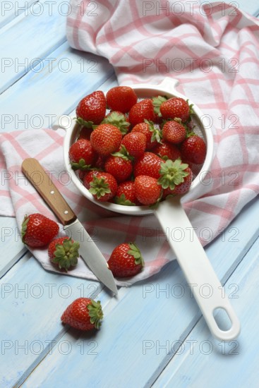 Strawberries in a colander, Fragaria x ananassa