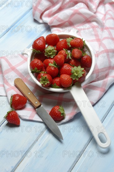 Strawberries in a colander, Fragaria x ananassa