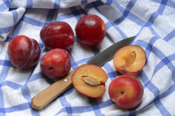 Red plums with knife on cloth, halved, Prunus domestica