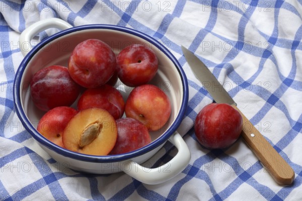 Red plums in skin on cloth, Prunus domestica