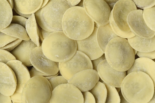 Anolini, filled dumplings, pasta variety from Italy, Anolini piacentini