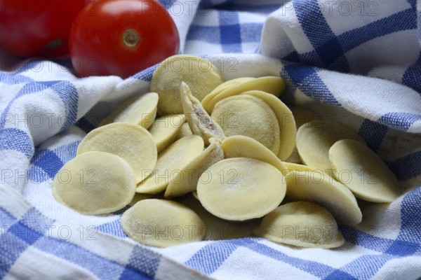 Anolini, filled pasta pockets on kitchen towel, pasta variety from Italy, Anolini piacentini