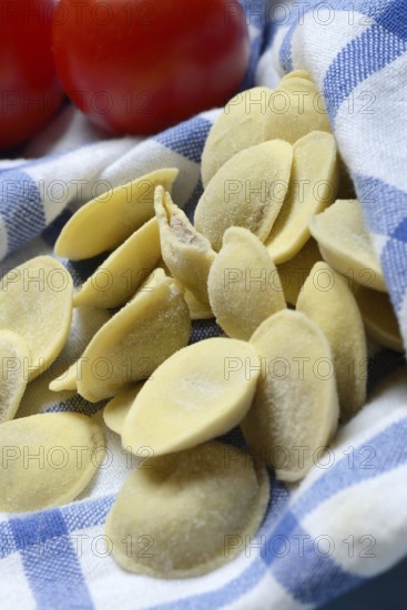 Anolini, filled pasta pockets on kitchen towel, pasta variety from Italy, Anolini piacentini