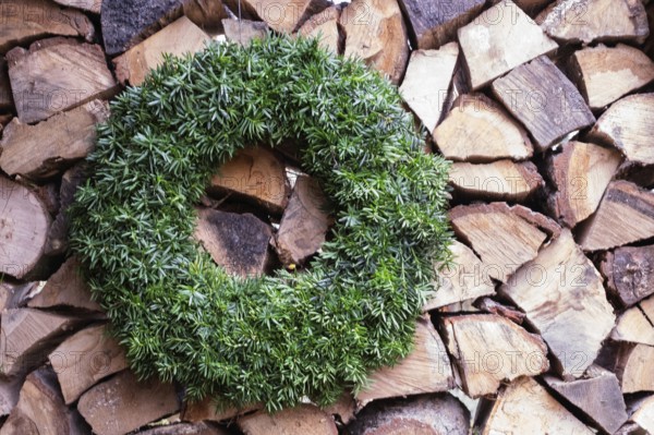 Yew wreath in front of a pile of firewood, North Rhine-Westphalia, Germany