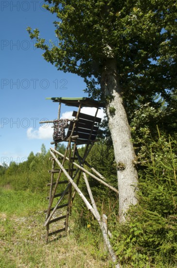 High seat next to a tree
