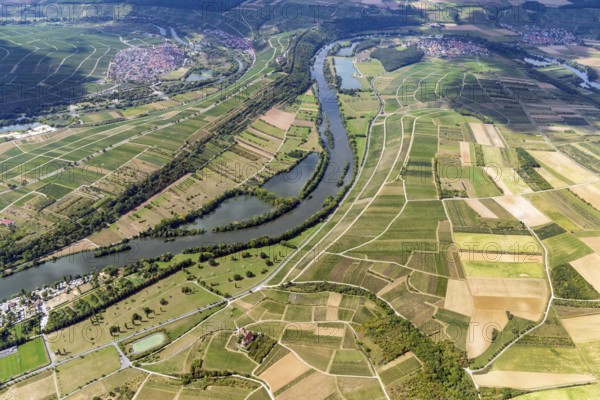 Wine-growing area, vineyard, Main, Volkach, Bavaria, Lower Franconia, Kitzingen district, agriculture, river, aerial view, Germany