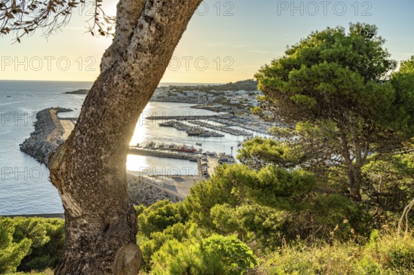 View of the Marina Porto Turistico of Santa Maria di Leuca, Apulia, Italy