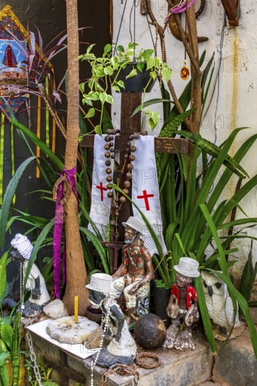 Religious syncretism of Umbanda and Cotolicism mixed on an altar among the plants, Belo Horizonte, Minas Gerais, Brazil