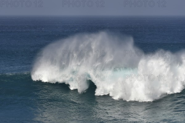 Strikingly shaped ocean wave with high spray. Lanzarote, Canary Islands, Spain