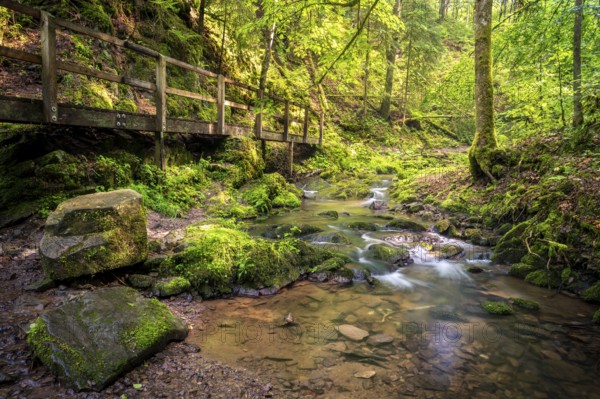 Lotenbachklamm, landscape in the Black Forest, hiking trail with wooden bridge, Lotenbach with rocks. Long exposure. Lotenbachklamm gorge in the Wutachschlucht gorge, Upper Black Forest, Baden-Württemberg, Germany