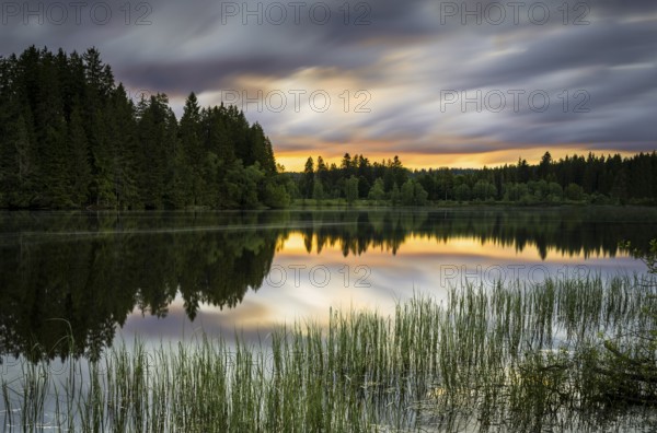 The lake Windgfällweiher at sunset, long exposure, Black Forest, municipality Lenzkirch, Baden-Württemberg, Germany