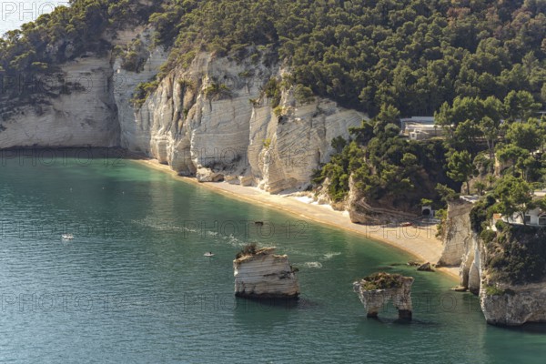 Faraglioni di Baia delle Zagare rock formation near Mattinatella, Mattinata, Gargano, Apulia, Italy
