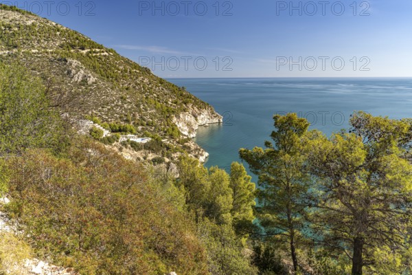 The coast near Mattinatella, Mattinata, Gargano, Apulia, Italy