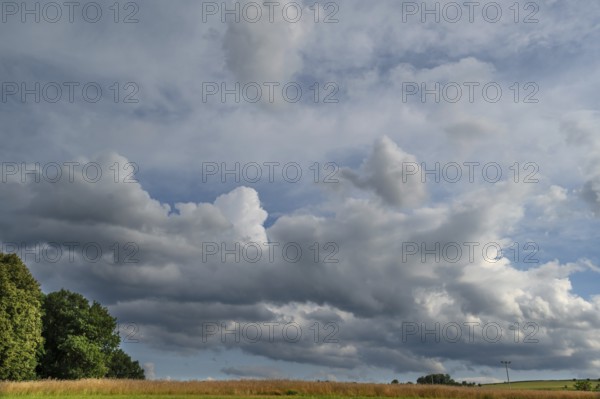 Cloudy sky, ripe cornfield below, Eckental, Middle Franconia, Bavaria, Germany