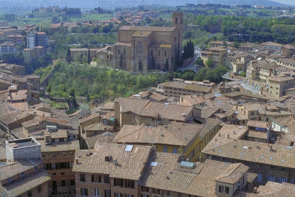 View of the Basilica Di San Dominico, in front of the roofs of the historic centre, Siena, Tuscany, Italy