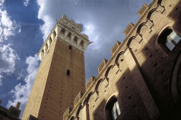 The tower on the Piazza del Campo, Siena, Tuscany, Italy
