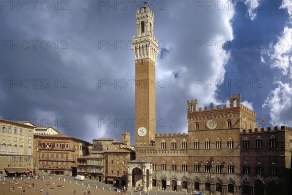 Piazza del Campo with the tower, Siena, Tuscany, Italy
