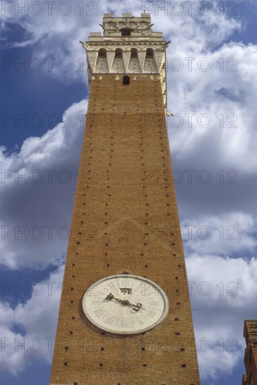 The tower on the Piazza del Campo, Siena, Tuscany, Italy