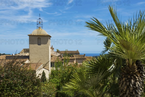 Ramatuelle, Saint Tropez, Var, French Riviera, Provence-Alpes-Cote d'Azur, Cote d Azur, France