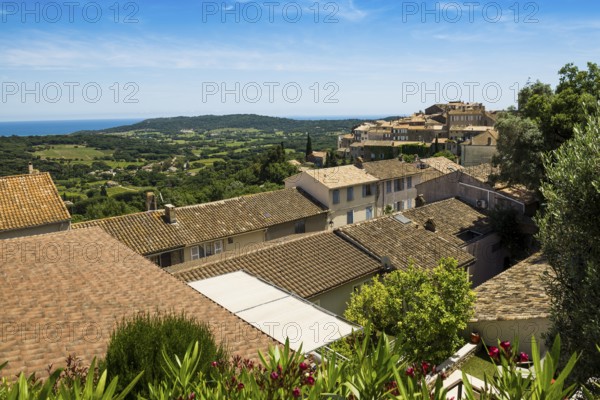 Ramatuelle, Saint Tropez, Var, French Riviera, Provence-Alpes-Cote d'Azur, Cote d Azur, France