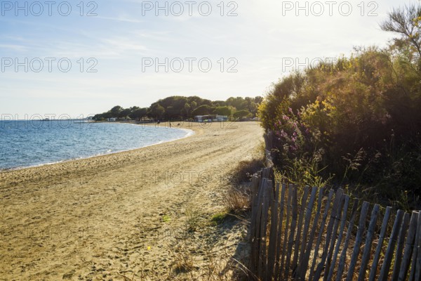 Beach, Plage de l'Argentière, La Londe-les-Maures, Var, French Riviera, Provence-Alpes-Cote d'Azur, Cote d Azur, France