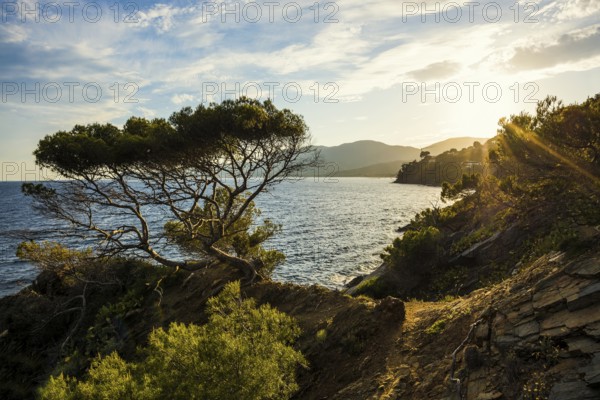 Picturesque hiking trail on the coast, sunset, La Croix-Valmer, Saint Tropez, Var, French Riviera, Provence-Alpes-Cote d'Azur, Cote d Azur, France