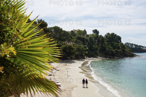 Beach, Plage du Canadel, Rayol, Var, French Riviera, Provence-Alpes-Cote d'Azur, Cote d Azur, France