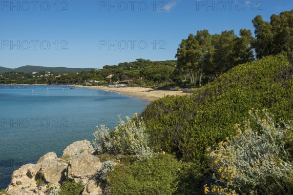 Beach, Plage de Gigaro, La Croix-Valmer, Saint Tropez, Var, French Riviera, Provence-Alpes-Cote d'Azur, Cote d Azur, France