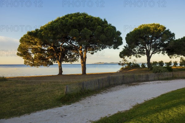Beach, Plage de l'Argentière, Sunrise, La Londe-les-Maures, Var, French Riviera, Provence-Alpes-Cote d'Azur, Cote d Azur, France