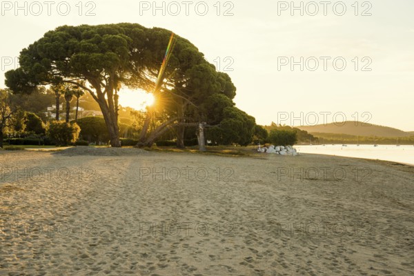 Beach, Plage de l'Argentière, Sunrise, La Londe-les-Maures, Var, French Riviera, Provence-Alpes-Cote d'Azur, Cote d Azur, France