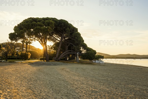Beach, Plage de l'Argentière, Sunrise, La Londe-les-Maures, Var, French Riviera, Provence-Alpes-Cote d'Azur, Cote d Azur, France
