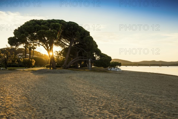 Beach, Plage de l'Argentière, Sunrise, La Londe-les-Maures, Var, French Riviera, Provence-Alpes-Cote d'Azur, Cote d Azur, France