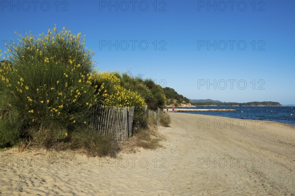 Beach, Plage de l'Argentière, La Londe-les-Maures, Var, French Riviera, Provence-Alpes-Cote d'Azur, Cote d Azur, France