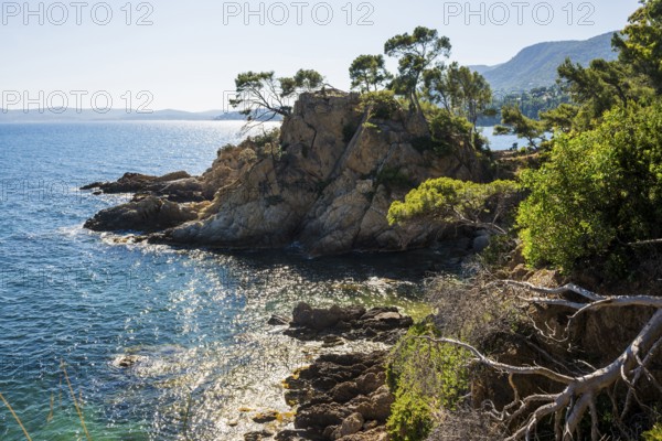 Hiking trail on the coast, Le Lavandou, Var, French Riviera, Provence-Alpes-Cote d'Azur, Cote d Azur, France