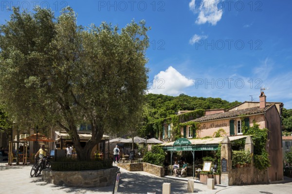 Ramatuelle, Saint Tropez, Var, French Riviera, Provence-Alpes-Cote d'Azur, Cote d Azur, France