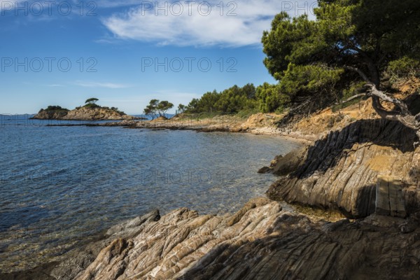 Hiking trail on the coast, Bormes-les-Mimosas, Var, French Riviera, Provence-Alpes-Cote d'Azur, Cote d Azur, France