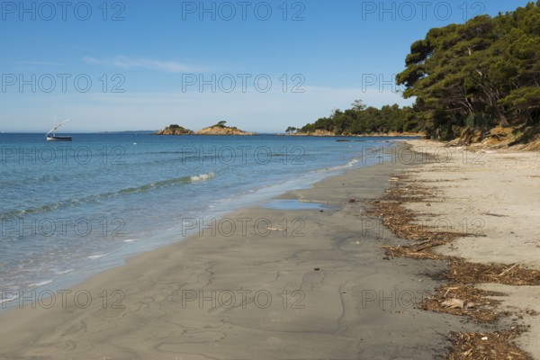 Beach, Plage de la Vignasse, Bormes-les-Mimosas, Var, French Riviera, Provence-Alpes-Cote d'Azur, Cote d Azur, France