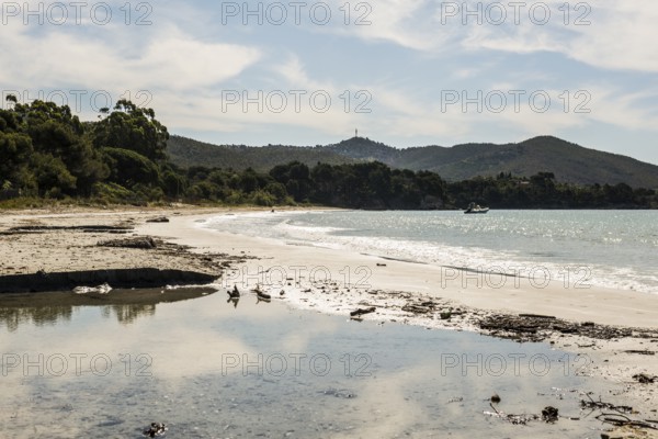 Beach, Plage de la Vignasse, Bormes-les-Mimosas, Var, French Riviera, Provence-Alpes-Cote d'Azur, Cote d Azur, France