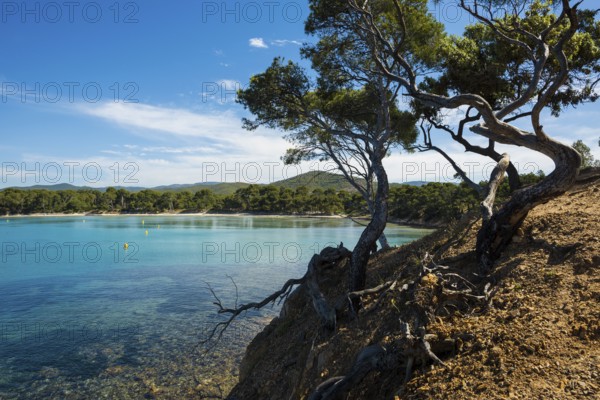 Beach, Plage de l'Estagnol, Bormes-les-Mimosas, Var, French Riviera, Provence-Alpes-Cote d'Azur, Cote d Azur, France