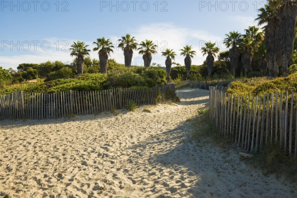 Beach, Plage de Cabasson, Bormes-les-Mimosas, Var, French Riviera, Provence-Alpes-Cote d'Azur, Cote d Azur, France